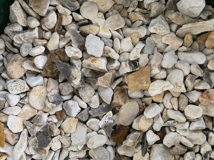 Yorkshire Cream 20mm Bulk Bag